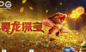 78m.ppt威久国际免费版2024最新版